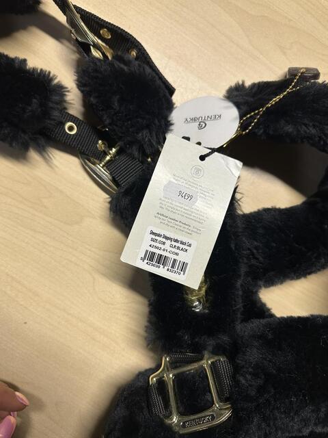 Licol mouton Kentucky