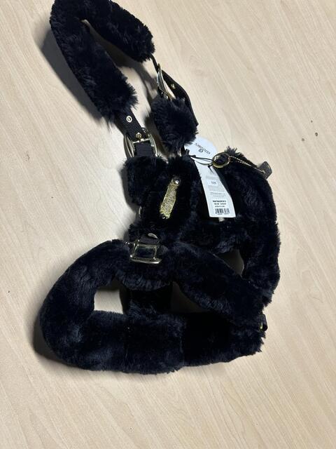 Licol mouton Kentucky