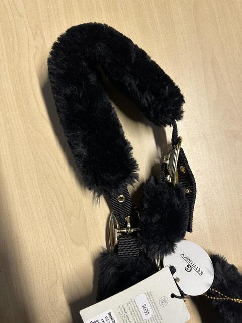 Licol mouton Kentucky