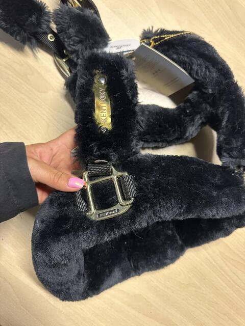 Licol mouton Kentucky