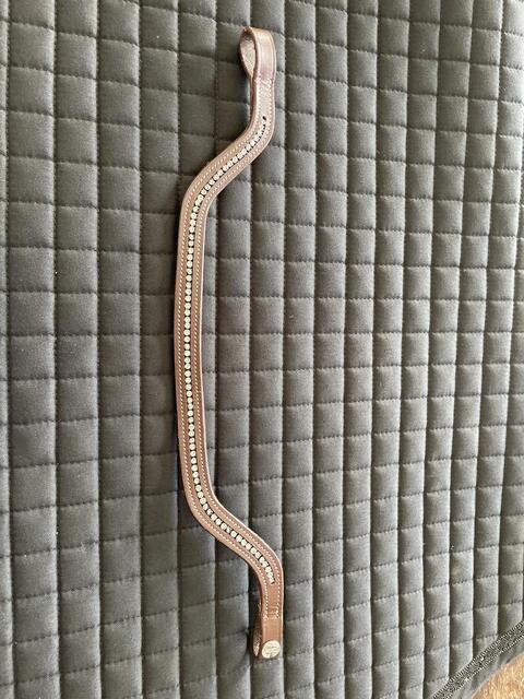 Frontal