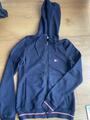gilet Tommy hilfiger