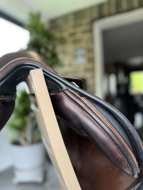 Selle bâtes victrix
