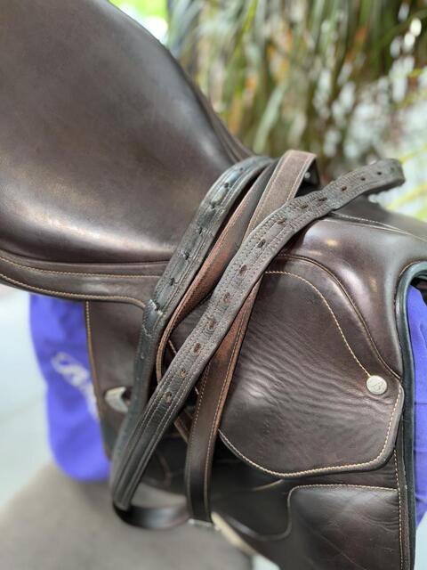 Selle bâtes victrix
