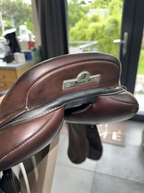 Selle bâtes victrix