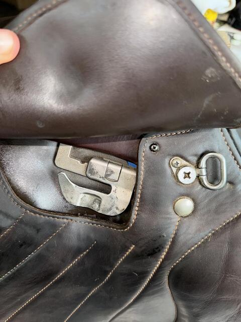 Selle bâtes victrix