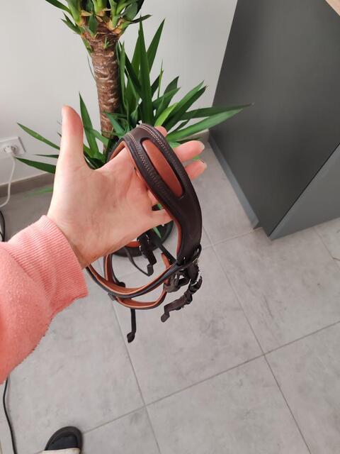 Bridon cob + don embouchure
