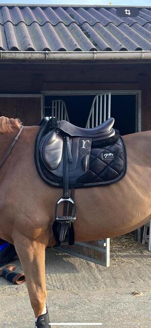 Selle Rebelle 17,5
