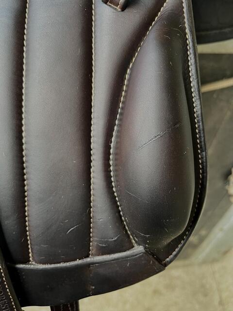 Selle Boeckelo Forestier 2021