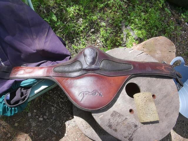 Selle gbs 17.5 année 2019 avec bavette Penelope leprevost