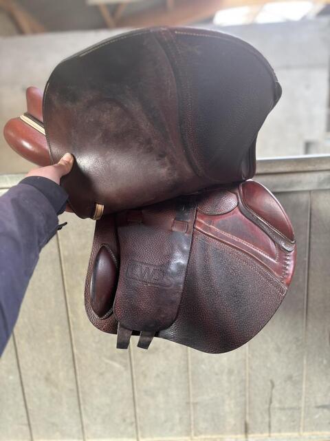 Selle CWD