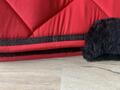 Amortisseur equitheme mouton rouge neuf full