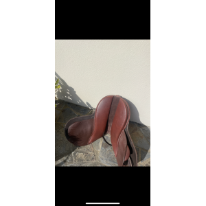 Selle Guy cantin