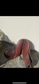 Selle Guy cantin