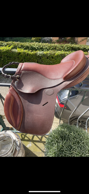 Selle Guy cantin