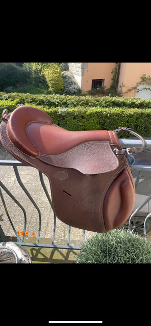 Selle Guy cantin