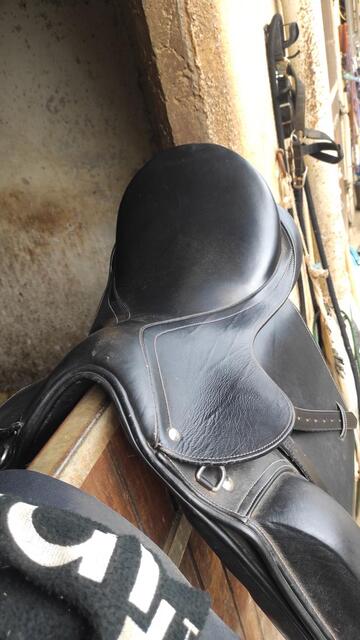 Selle dressage