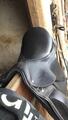 Selle dressage