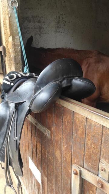 Selle dressage