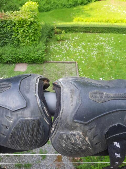 Protection de dressage ZANDONA