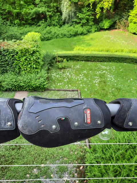 Protection de dressage ZANDONA