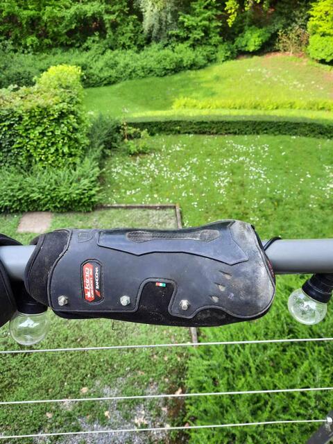 Protection de dressage ZANDONA