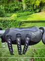Protection de dressage ZANDONA