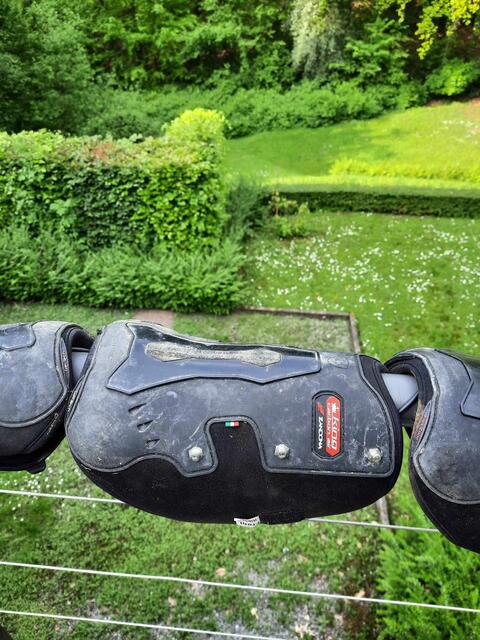 Protection de dressage ZANDONA