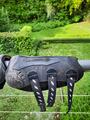 Protection de dressage ZANDONA