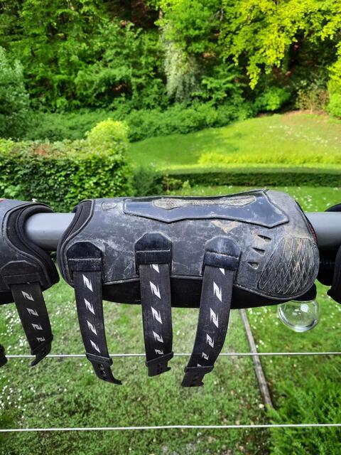 Protection de dressage ZANDONA