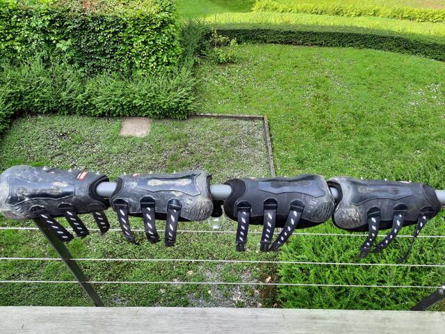 Protection de dressage ZANDONA