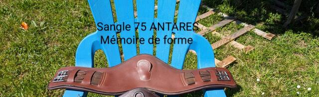 Sangle courte ANTARÈS
