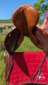 Selle SCB marron 17,5