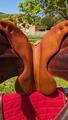 Selle SCB marron 17,5