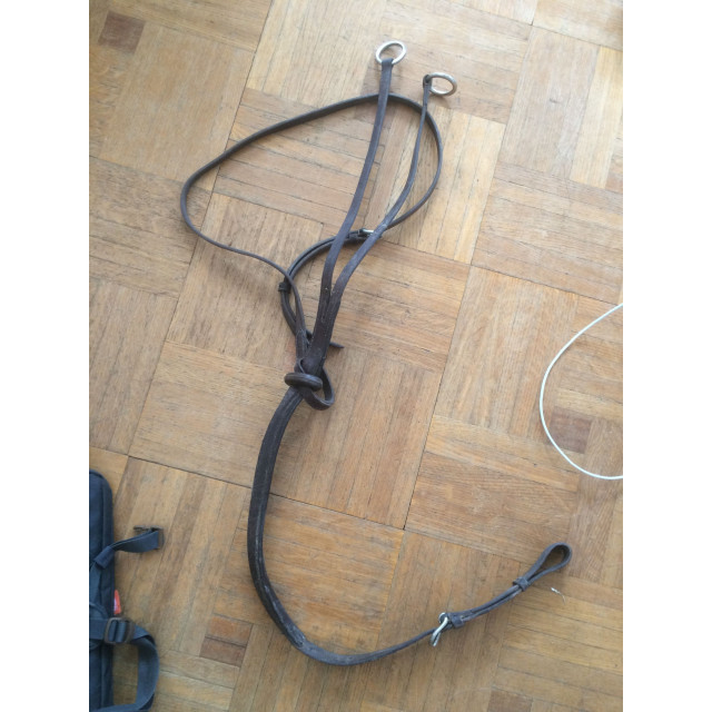 Martingale à anneaux taille cheval