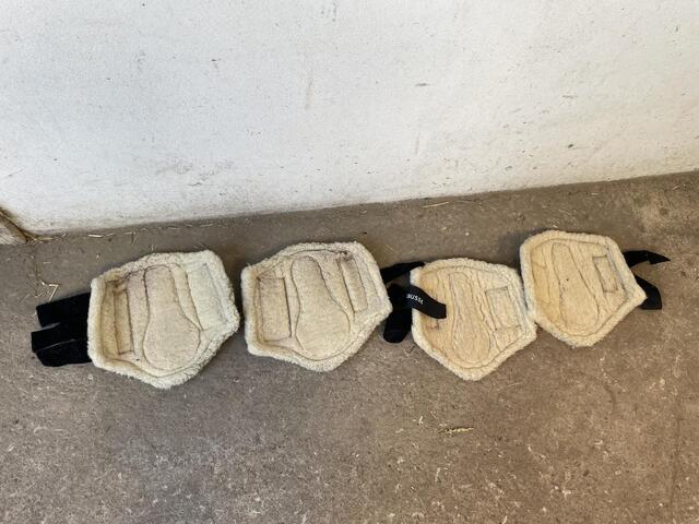 Busse guêtres moutons