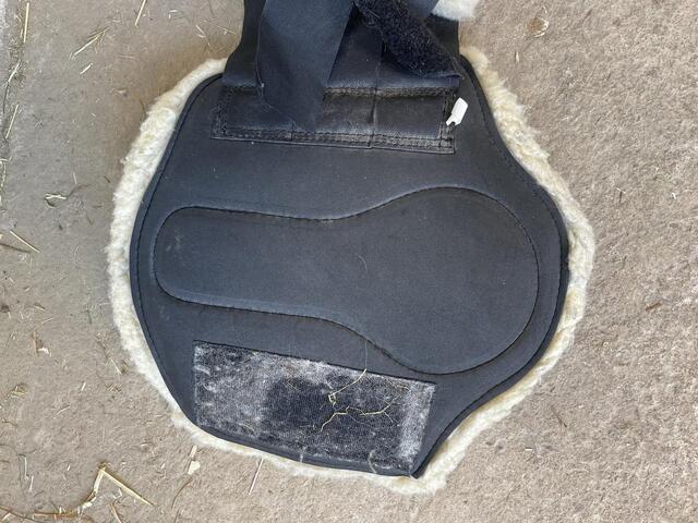 Busse guêtres moutons