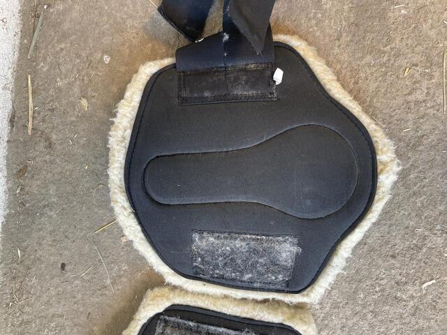 Busse guêtres moutons