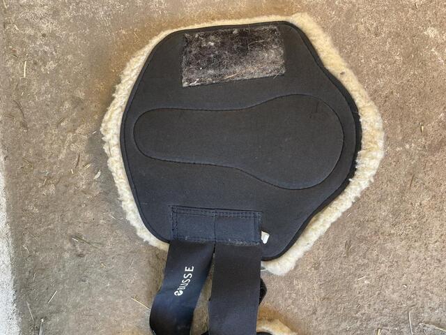 Busse guêtres moutons