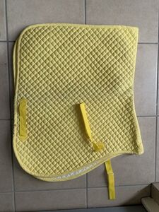 Tapis de dressage