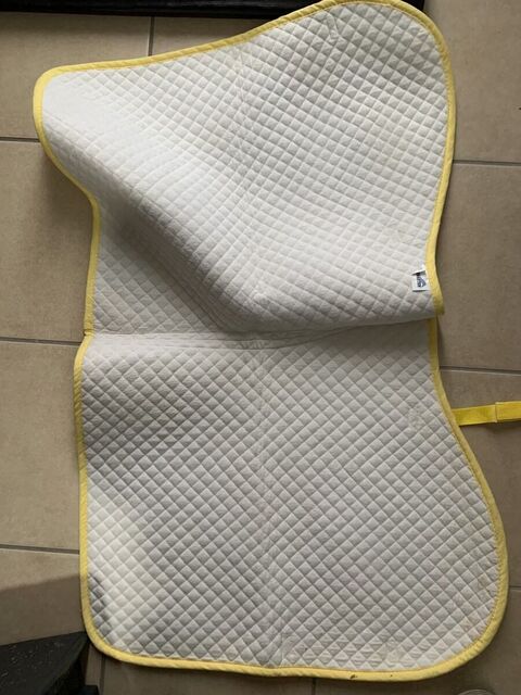 Tapis de dressage