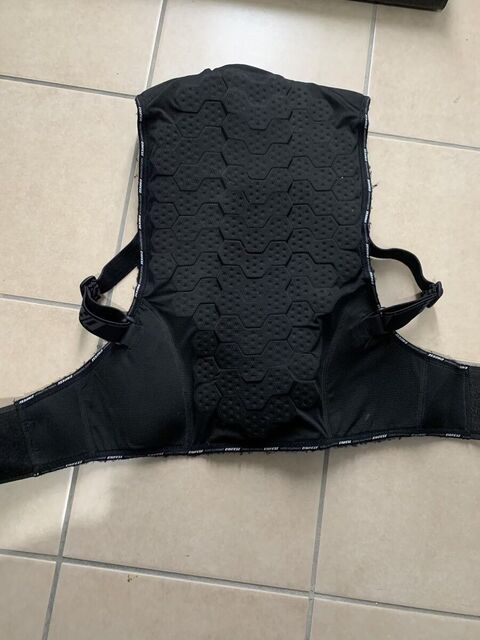 Coque dorsale Dainese