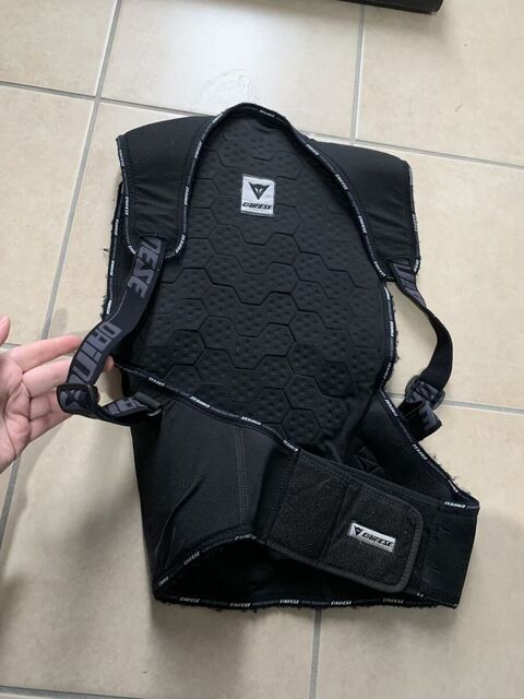 Coque dorsale Dainese
