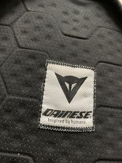 Coque dorsale Dainese