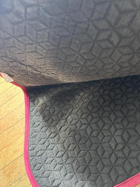 Tapis velvet kentucky fuschia