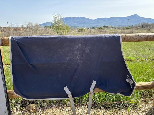 Chemise Amigo bleu marine