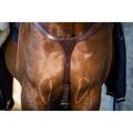 Collier de chasse Dy'On grand pont NEC - Couleur : Marron,
