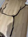 Collier de chasse Dy'On grand pont NEC - Couleur : Marron,