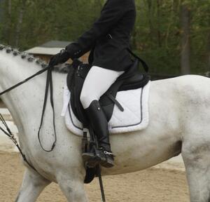 Selle dressage wintec werth