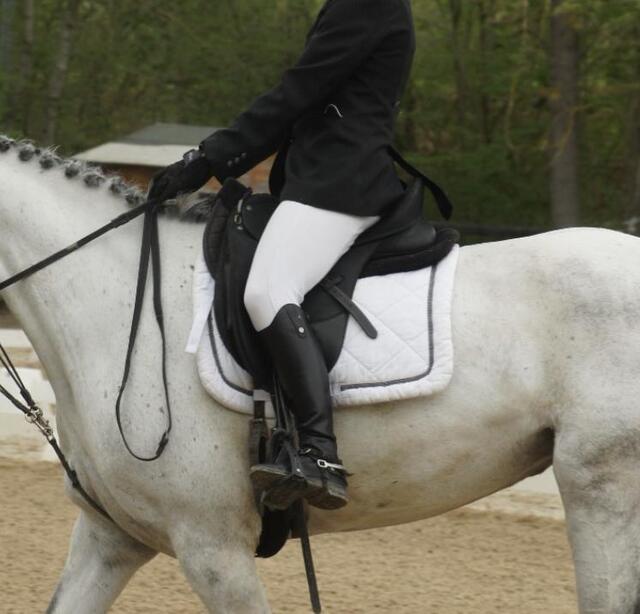 Selle dressage wintec werth